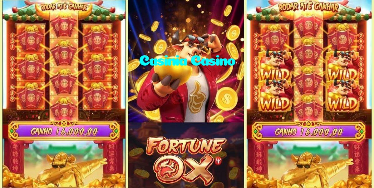 available types of Casinia Casino bet including pre-match live express and system bets